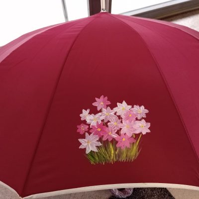 Paraguas Rojo Floral