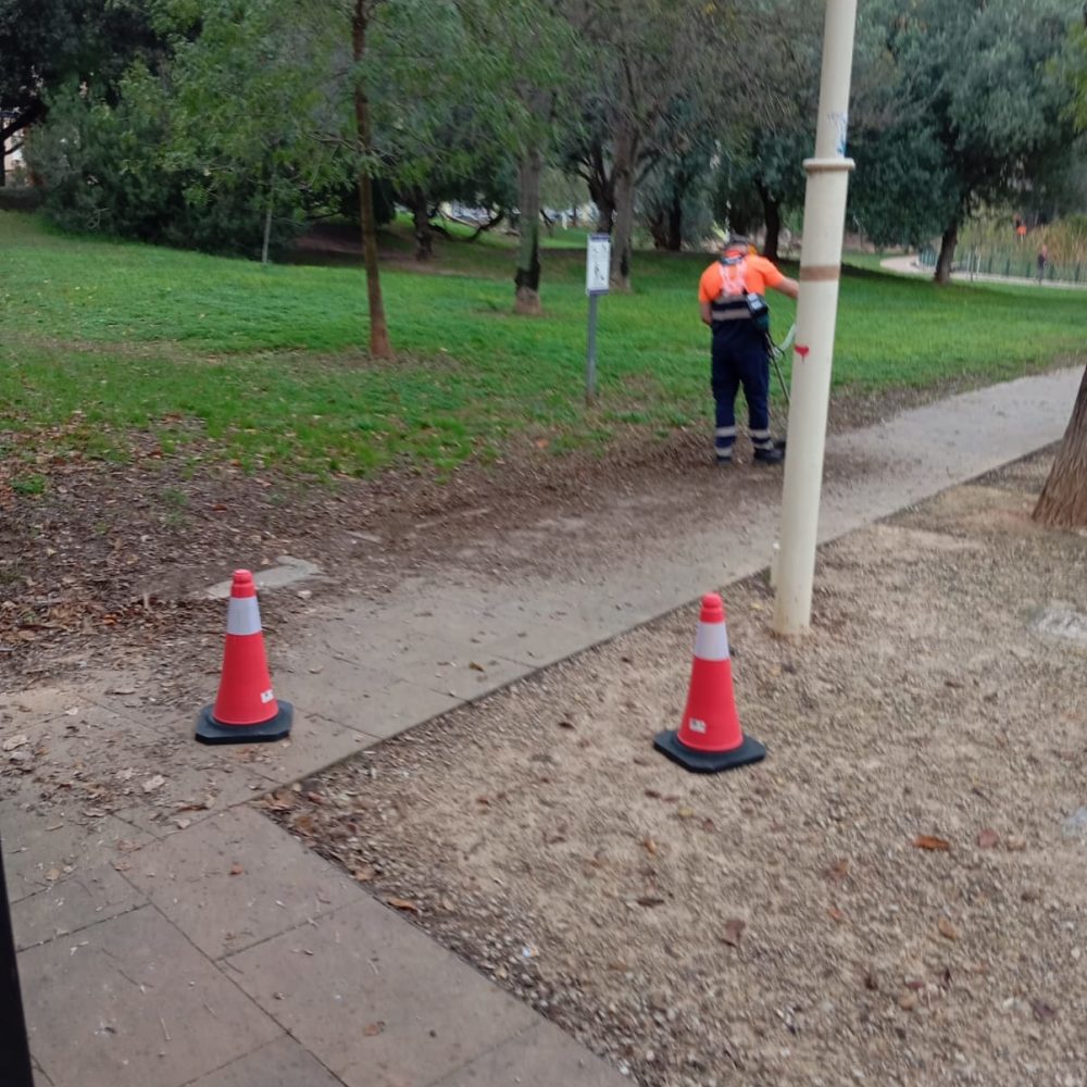 Imagen de WhatsApp 2024-11-26 a las 11.49.22_11d376fd