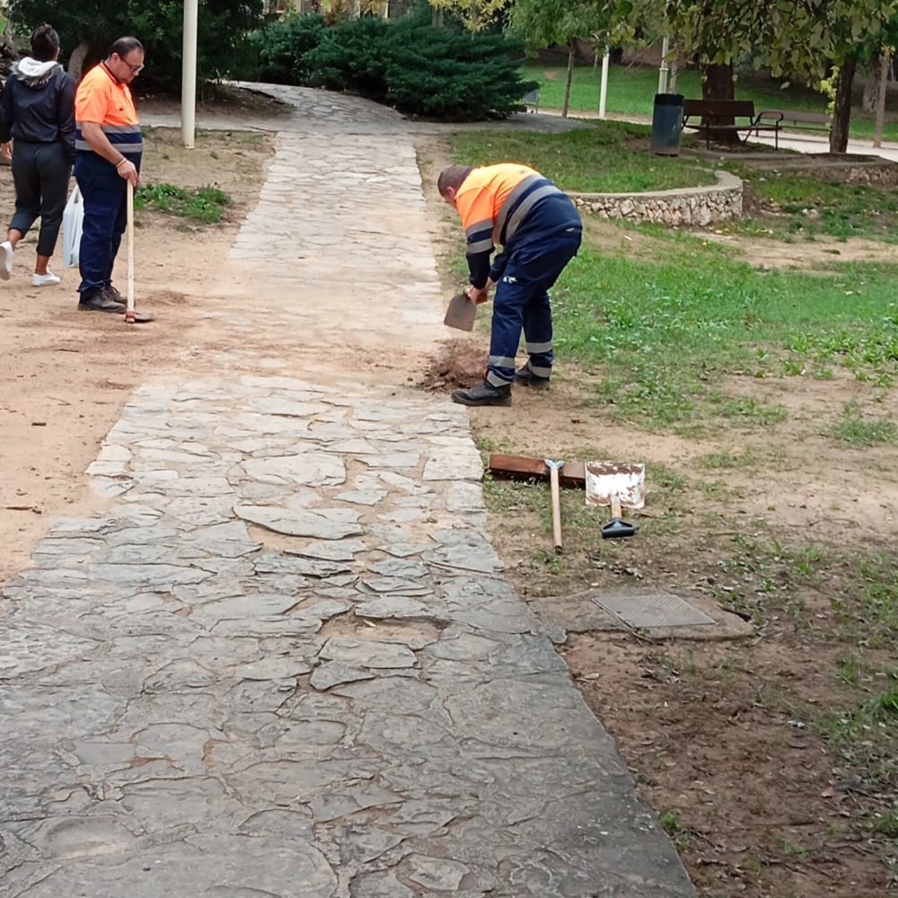 Imagen de WhatsApp 2024-11-26 a las 11.51.04_1dc6b305