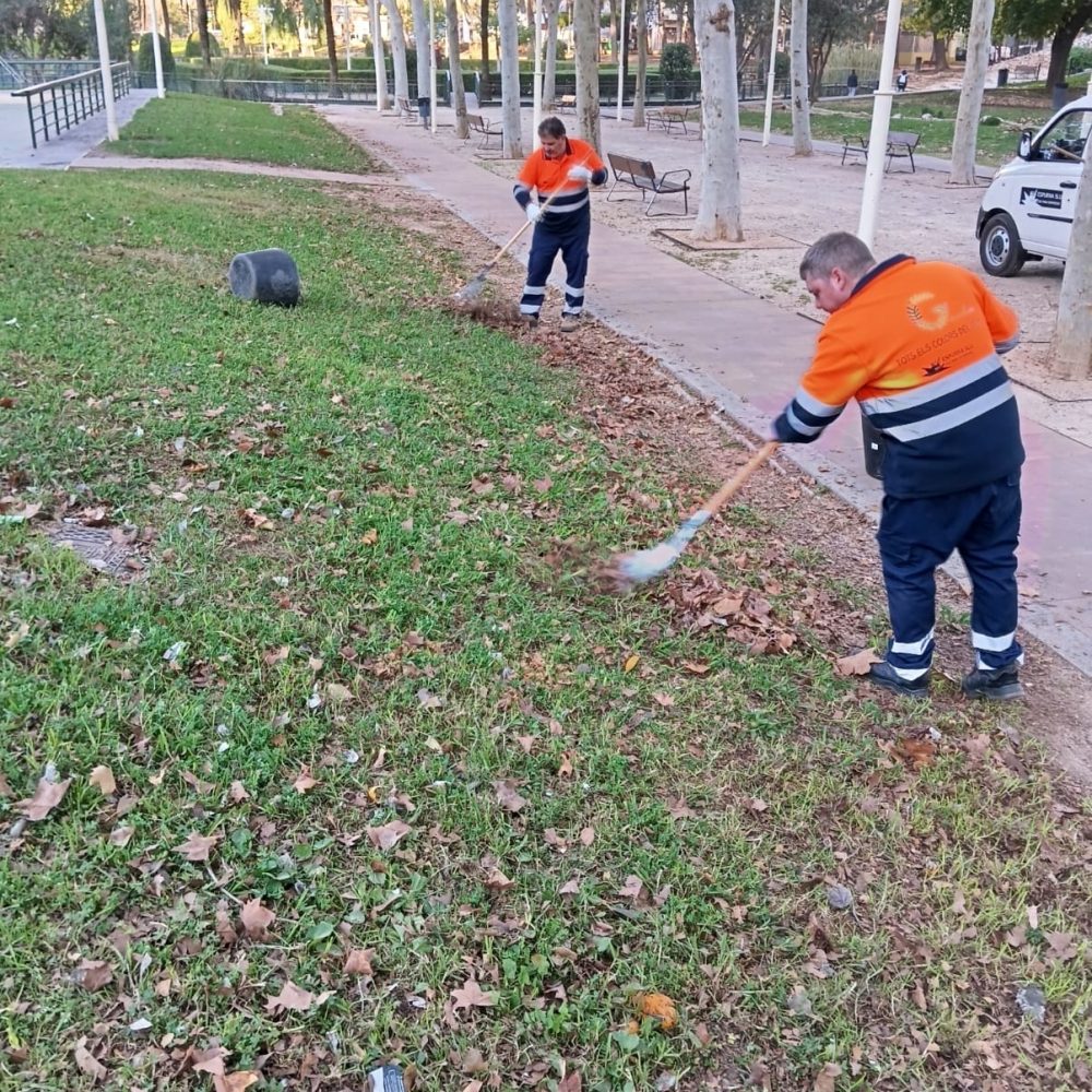 Imagen de WhatsApp 2024-11-26 a las 11.51.50_cee4d56b