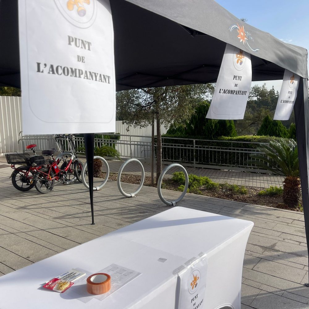 WhatsApp Image 2024-12-03 at 10.26.23