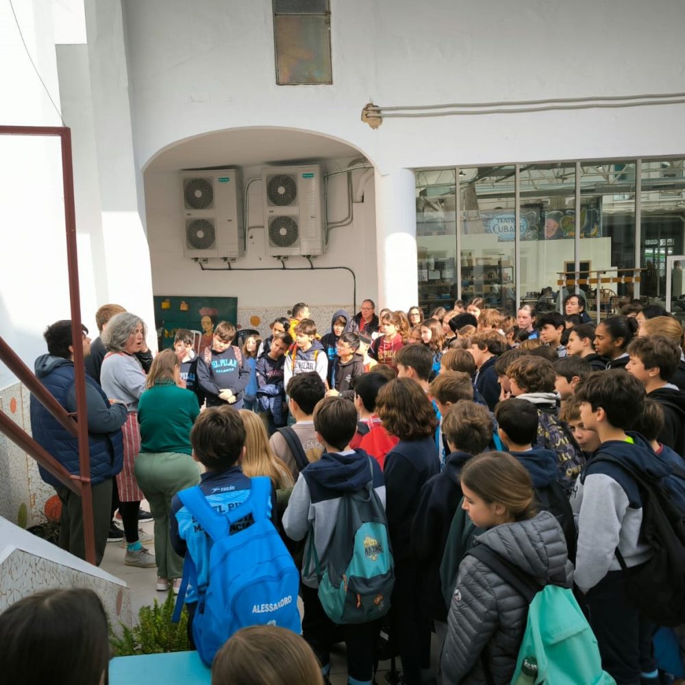 WhatsApp Image 2025-04-01 at 16.03.23 (4)