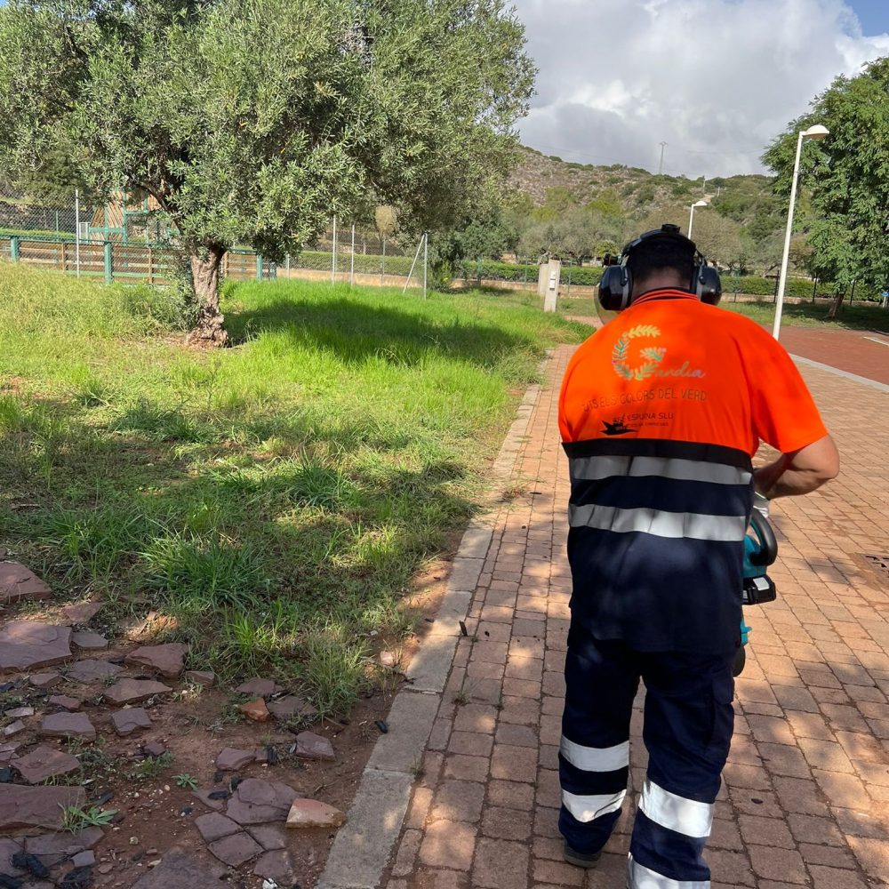 IMG-20241104-WA0029 (1)