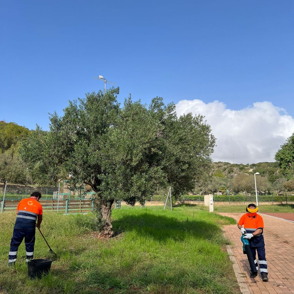 IMG-20241104-WA0033 (1) (1)