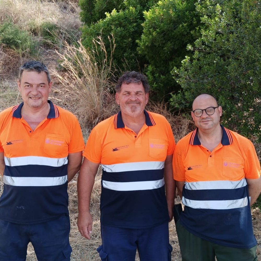 Imagen de WhatsApp 2025-07-11 a las 11.05.45_34a7e127