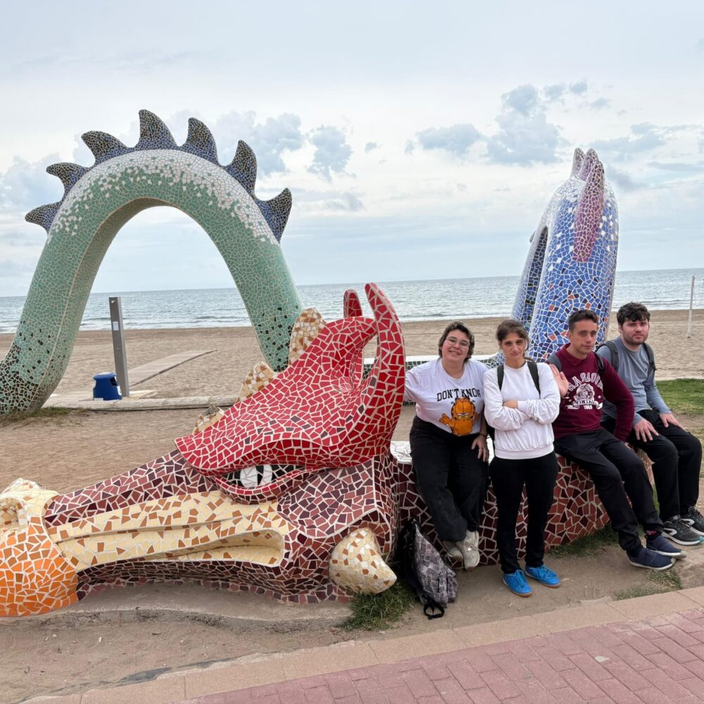 WhatsApp Image 2025-12-17 at 12.24.25