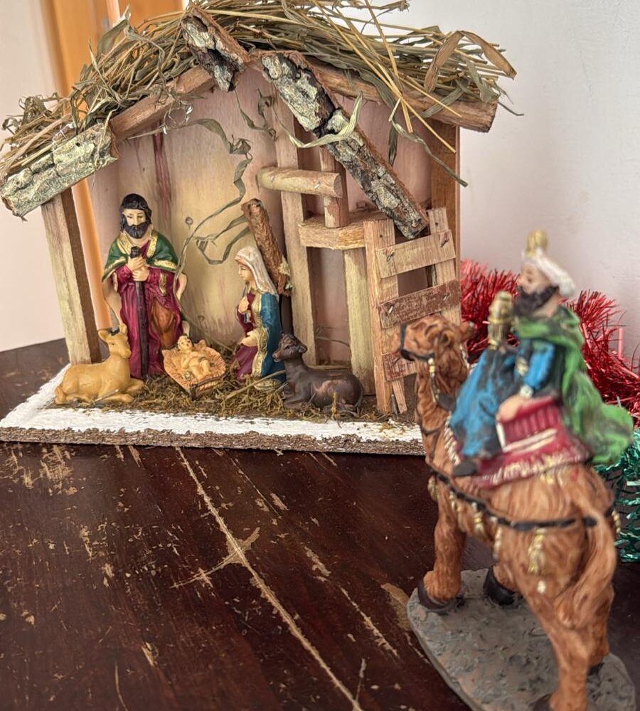 WhatsApp Image 2025-12-17 at 12.53.36 (1)