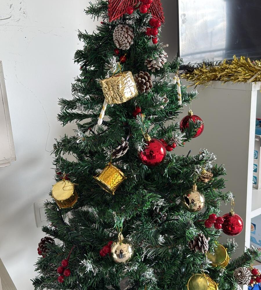 WhatsApp Image 2025-12-17 at 12.53.36 (2)